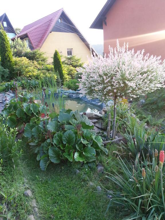 Noclegi U Andrzeja Duszniki Zdrój Exterior foto