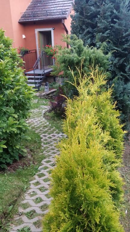 Noclegi U Andrzeja Duszniki Zdrój Exterior foto